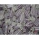 Sugar Free Blackcurrant & Liquorice Boiled Sweets 225g - Best Before Date 10.2022
