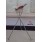 Home Accessories - Free UK Delivery