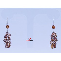 Orange Garnet Silver Earrings 