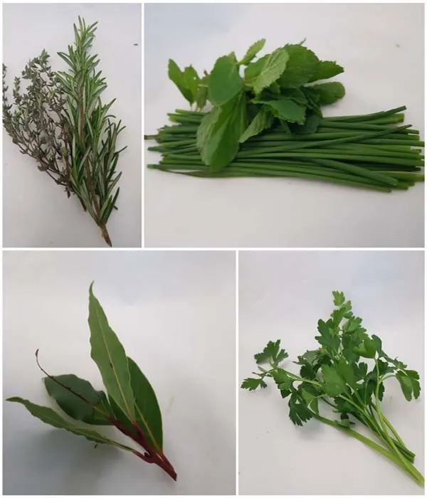 Herbs A world Of Flavour